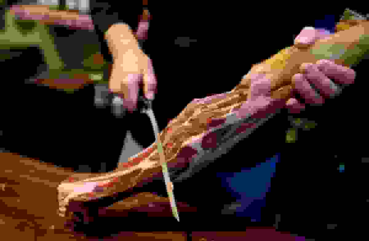 هشدار در مورد بحران غذایی جهانی از طریق بیماری حیوانات