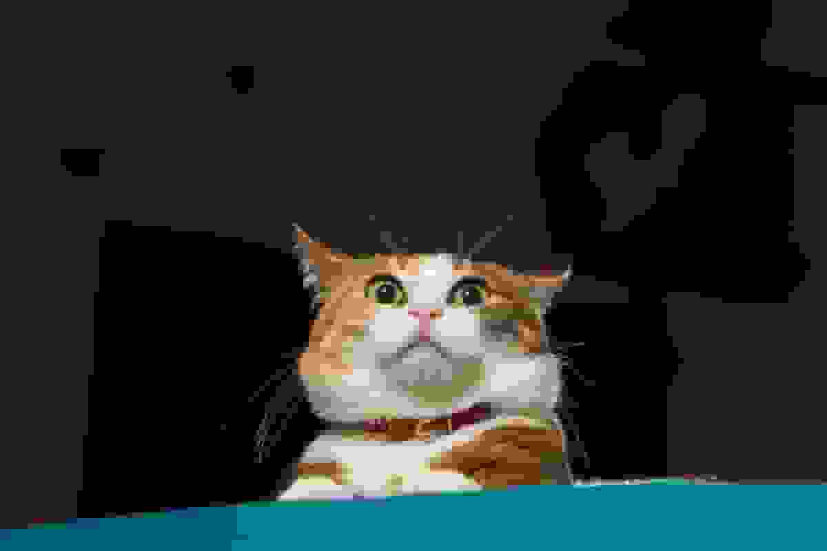 سالی پر از نشانه‌های هشداردهنده در ۲۰۲۵