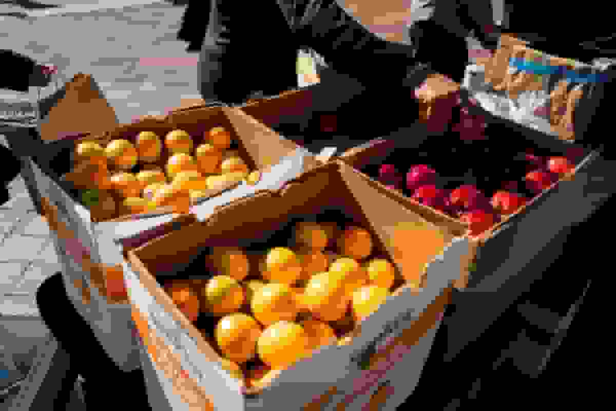 قانونی نبودن تعلیق کمک‌های غذایی دولت ترامپ توسط قضات فدرال