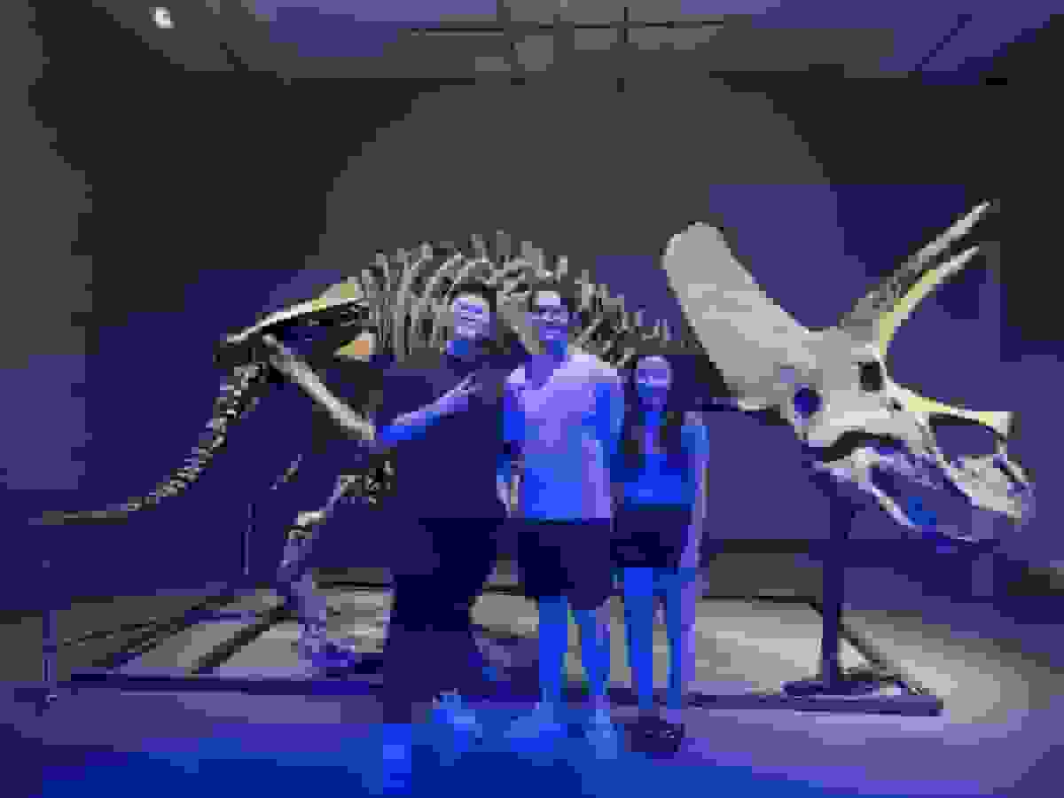 مدیران ارشد رمزارز سنگاپور پول کلان برای فسیل‌های دایناسور خرج می‌کنند