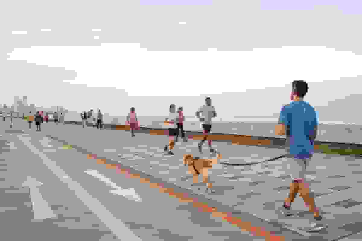 مومبای از ثروتمندترین خانواده هند برای ساخت «ریه سبز» شهر استفاده می‌کند