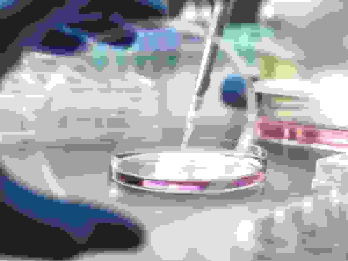 اس کی کپیتال در آستانه خرید شرکت سوئیسی توزیع دارو سوئییکس