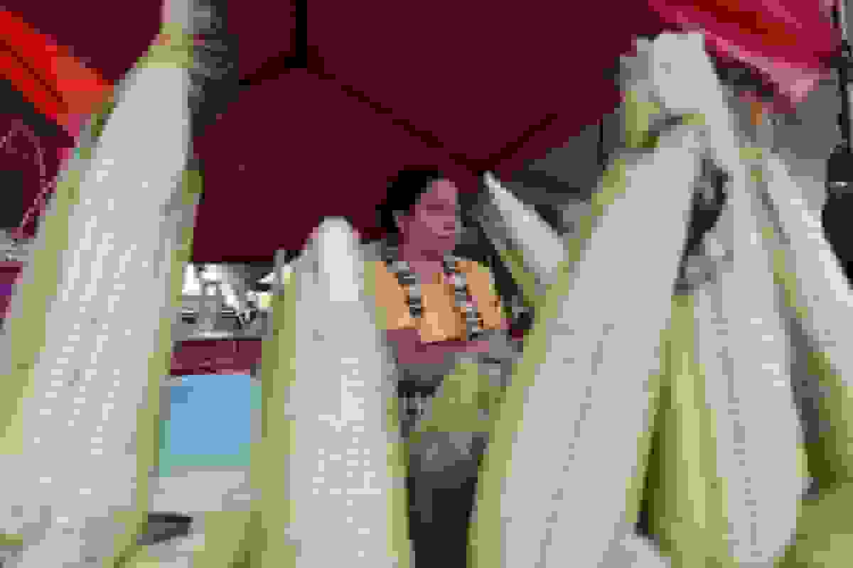 بحران ذرت در مکزیک در حال وقوع است