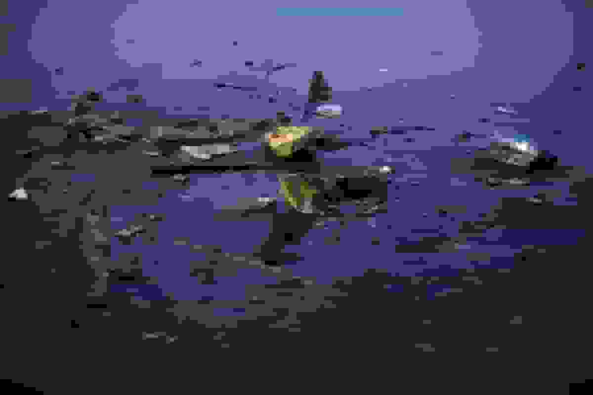 آمبیمار آماده ثبت درخواست ورشکستگی از هفته آینده