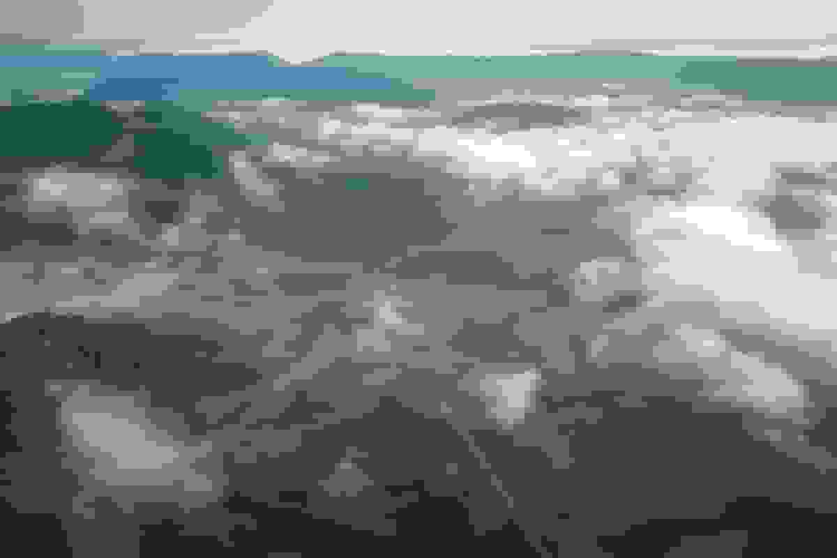 فروش بدهی‌های سبز به سطح رکوردی رسید