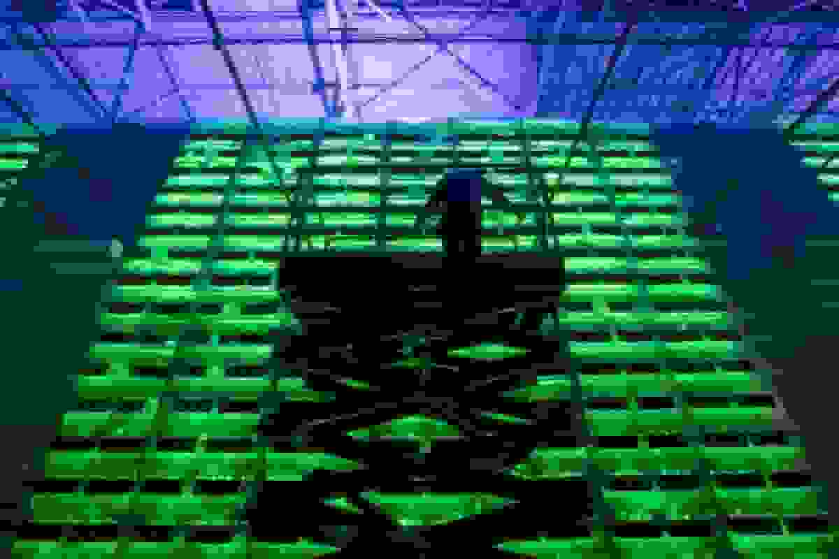 معدن‌کاران رمزارز با موج هوش مصنوعی، بیت‌کوین را پشت سر می‌گذارند