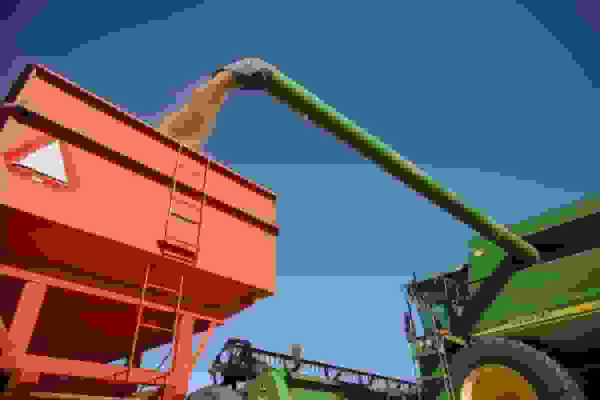 آماده‌سازی چندین محموله سویای آمریکا برای چین با ازسرگیری تجارت