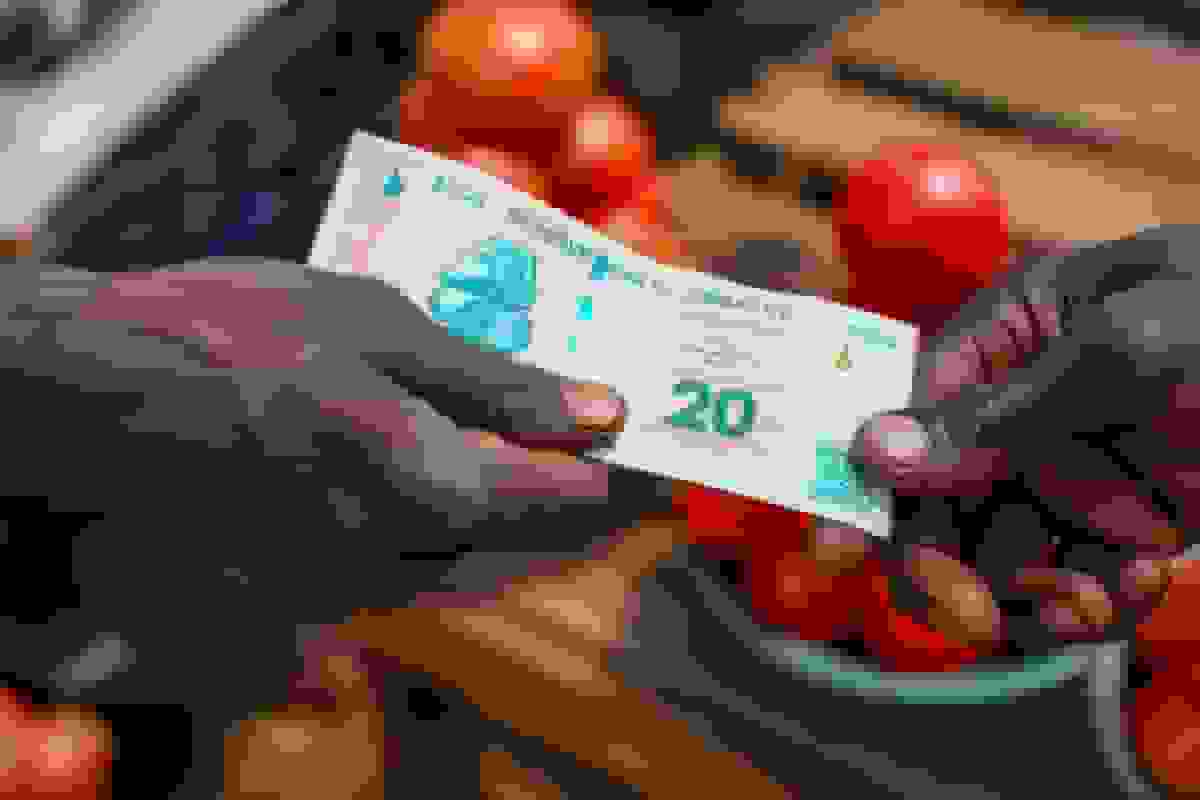 زمبابوه در نظر دارد تا سال ۲۰۳۰ به پول واحد روی آورد