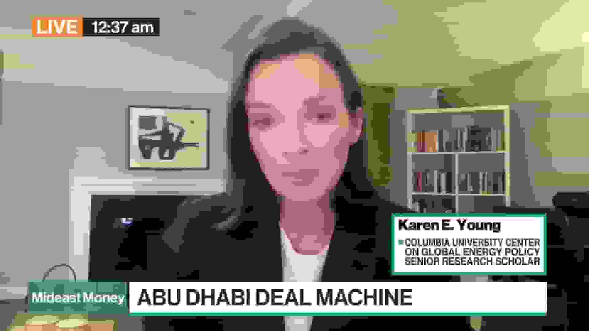 استراتژی سرمایهگذاری متفاوت امارات در مقایسه با همسایگان خلیج فارس