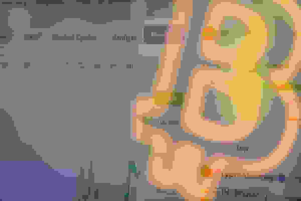 معامله‌گران بیت‌کوین برای زمستان رمزارز آماده می‌شوند