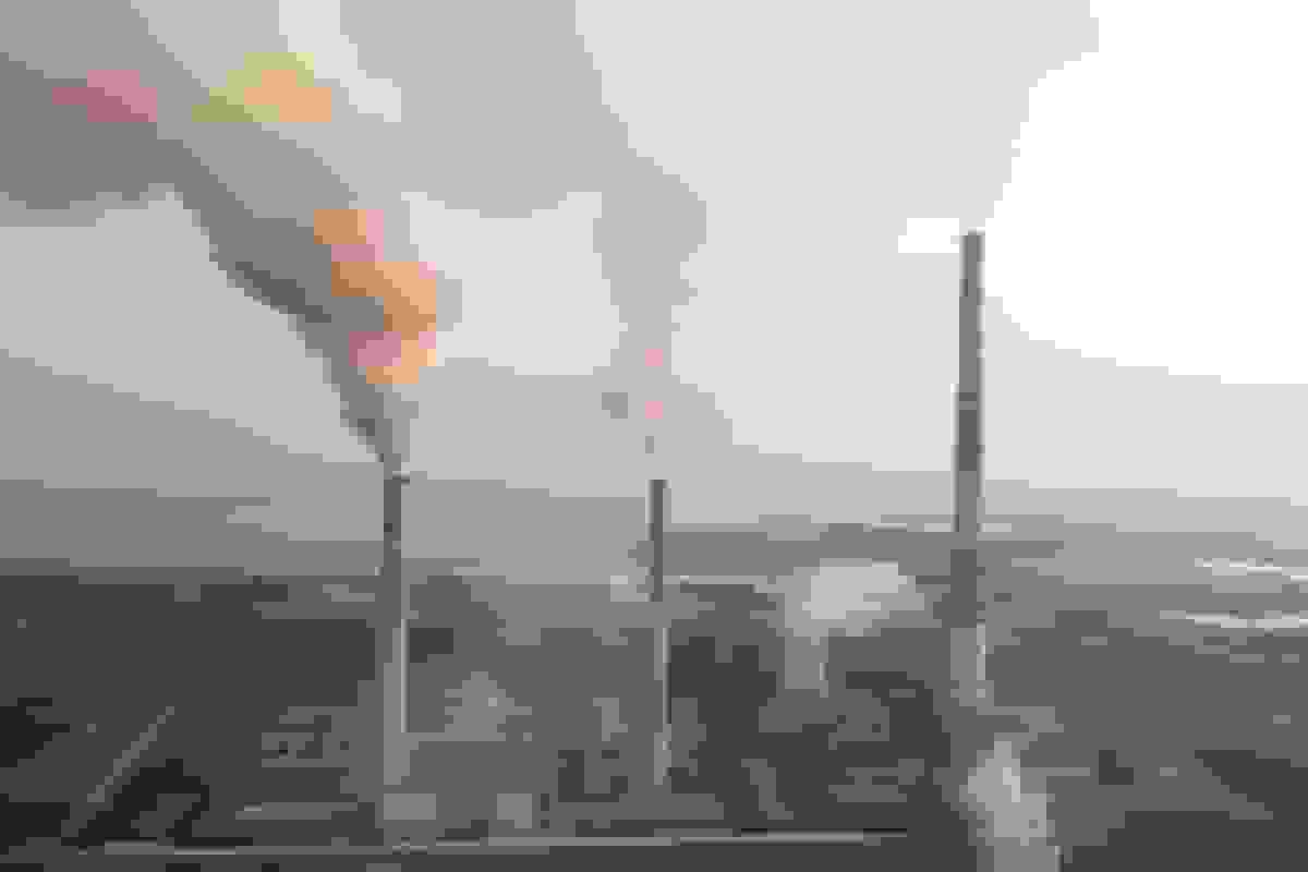 اخبار بد اقلیمی که امسال از دست دادید