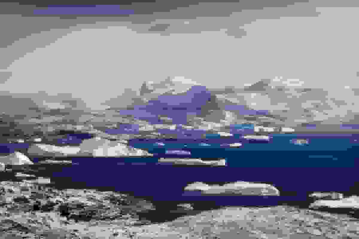 رئیس جمهور ترامپ و علاقه شدید او به تصاحب گرینلند