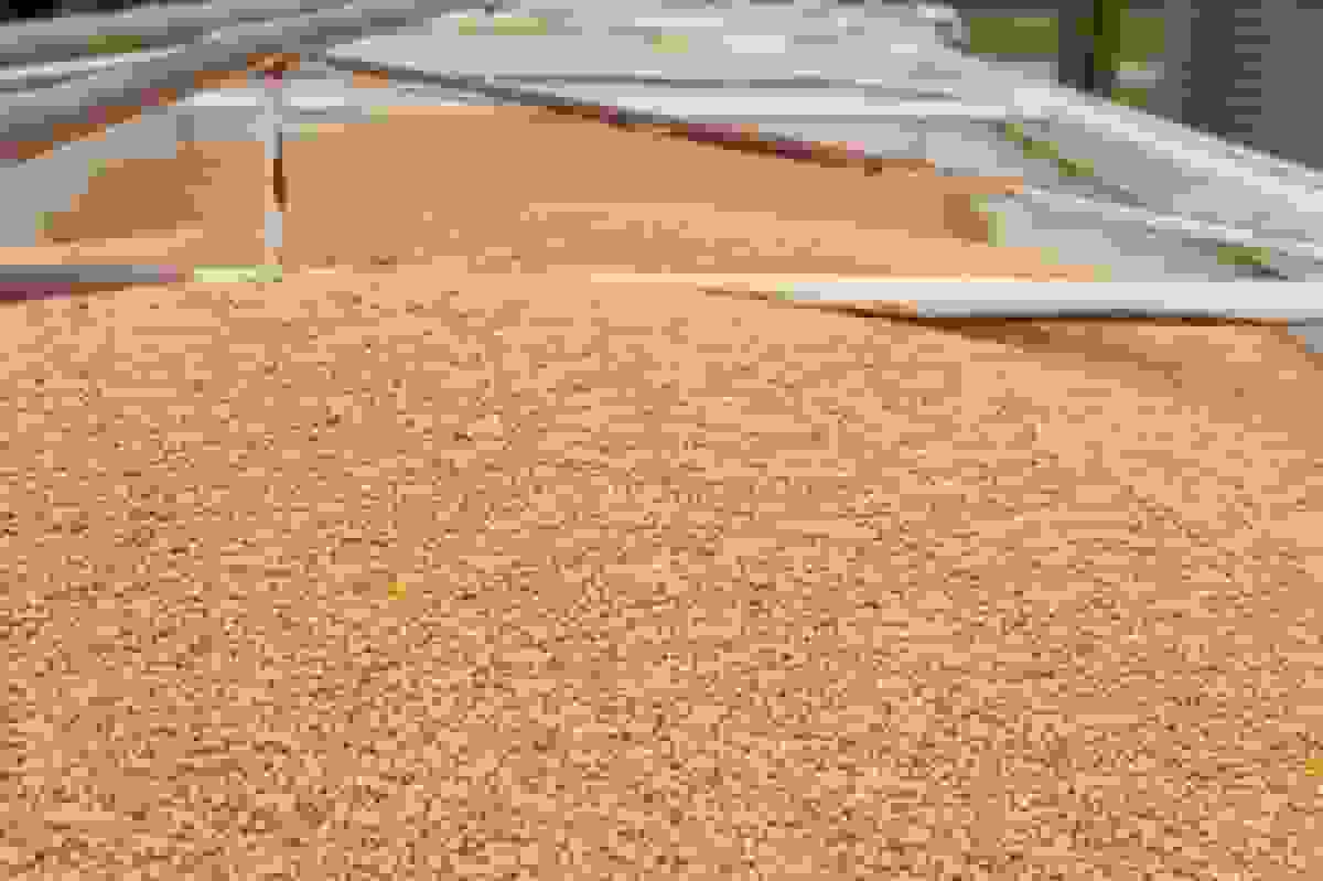 چین فروش ذخایر سویا را افزایش می‌دهد در حالی که خرید از آمریکا را گسترش می‌دهد