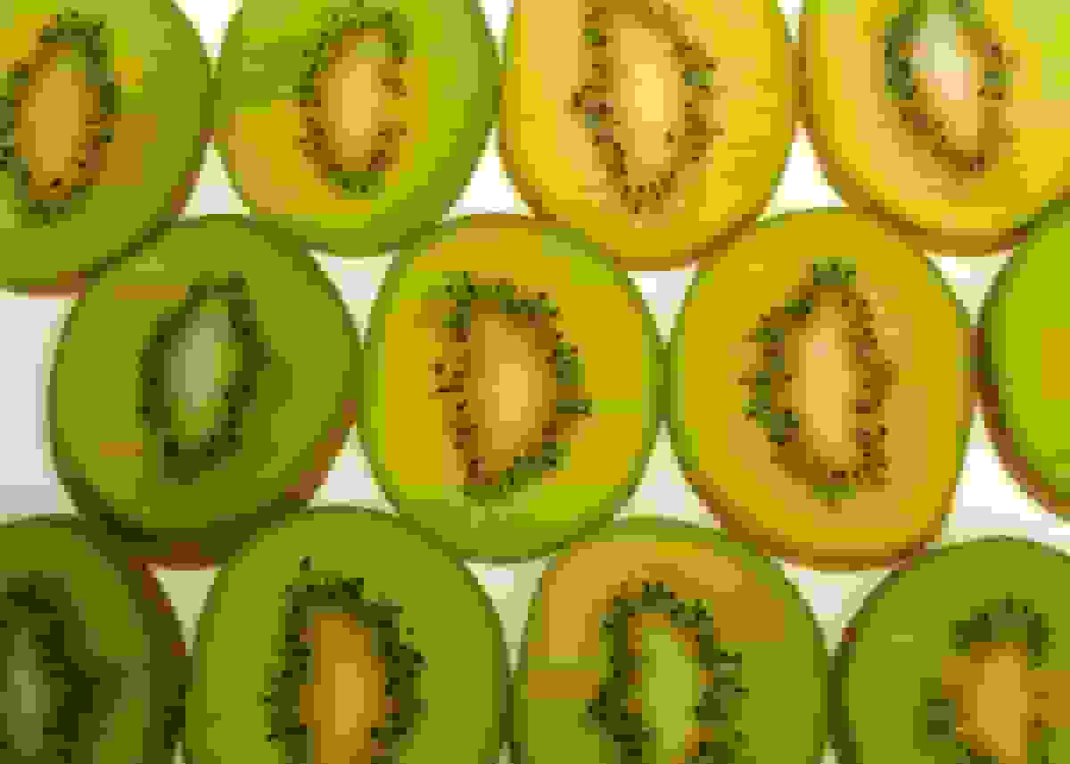 نیوزیلند با سرمایه‌گذاری بر کشاورزان هند تقاضای کیوی را افزایش می‌دهد