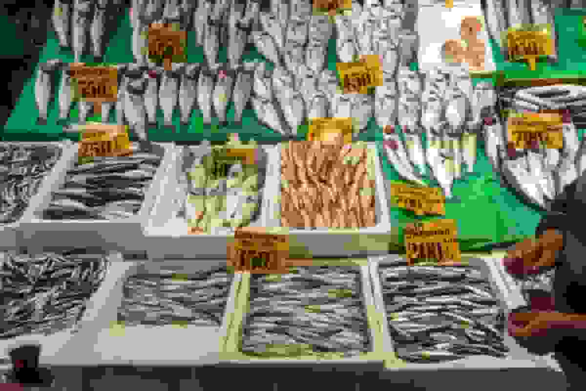 ترک‌ها برای خرید پنیر به یونان می‌روند تا از تورم فرار کنند