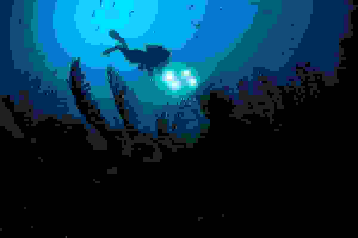 اخبار مثبت اقلیمی در سال ۲۰۲۵