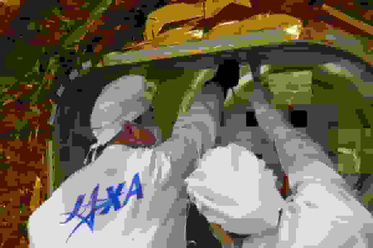 فضاپیمای ژاپنی برای ارسال میوه و سبزیجات تازه به مدار زمین