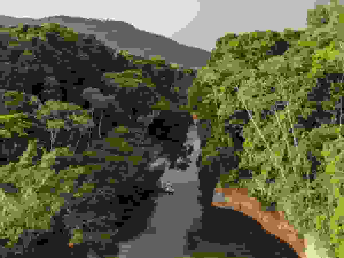 علاقه‌مند به ماجراجویی سافاری هستید؟ گویان، مرز جدید اکوتوریسم را امتحان کنید