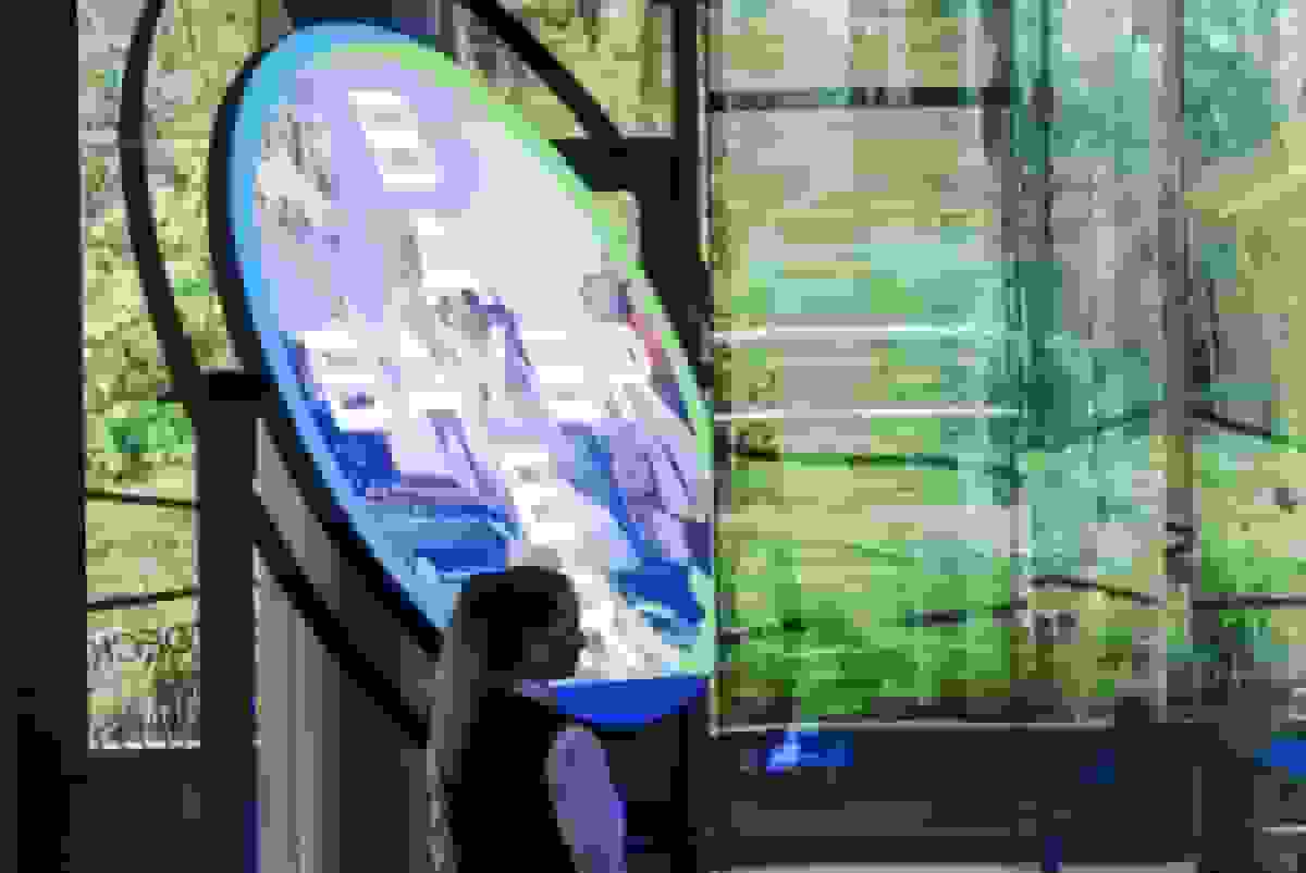 بایر داروی جدید Hyrnuo برای درمان سرطان ریه را در آمریکا تأیید کرد