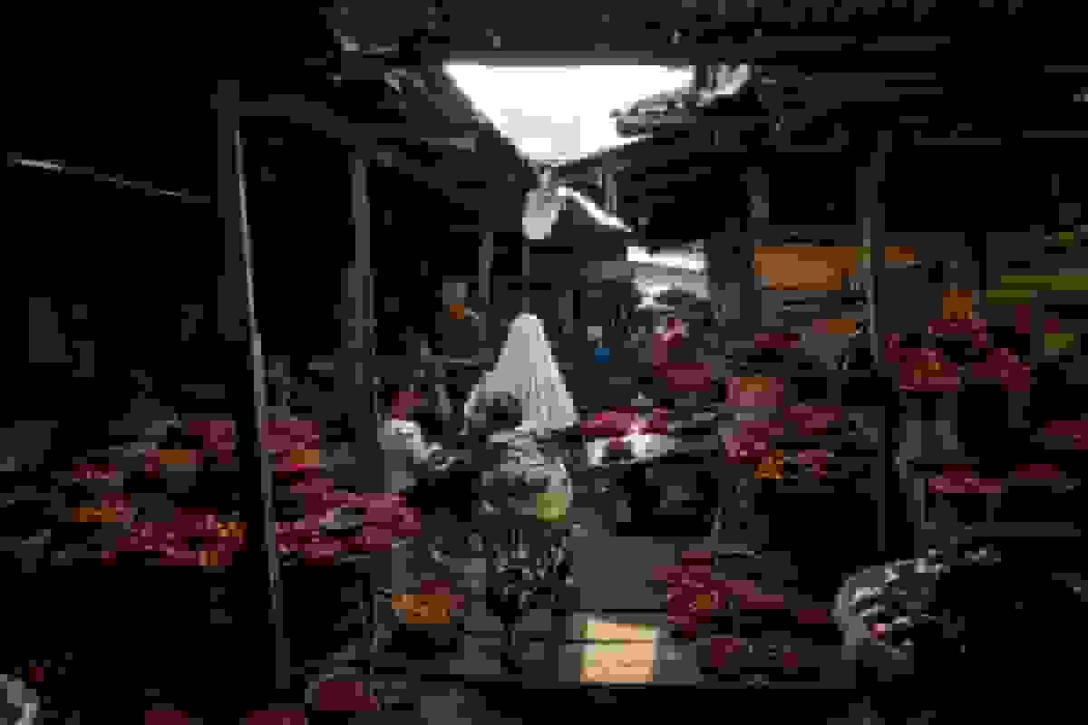 یک میلیارد فرصت شغلی آفریقایی که می‌تواند جهان را ایمن کند