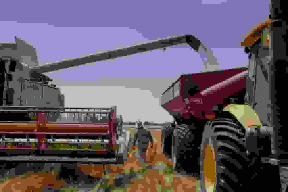 کوفکو اینترنشنال اولین محموله گندم آرژانتین به چین را بارگیری می‌کند