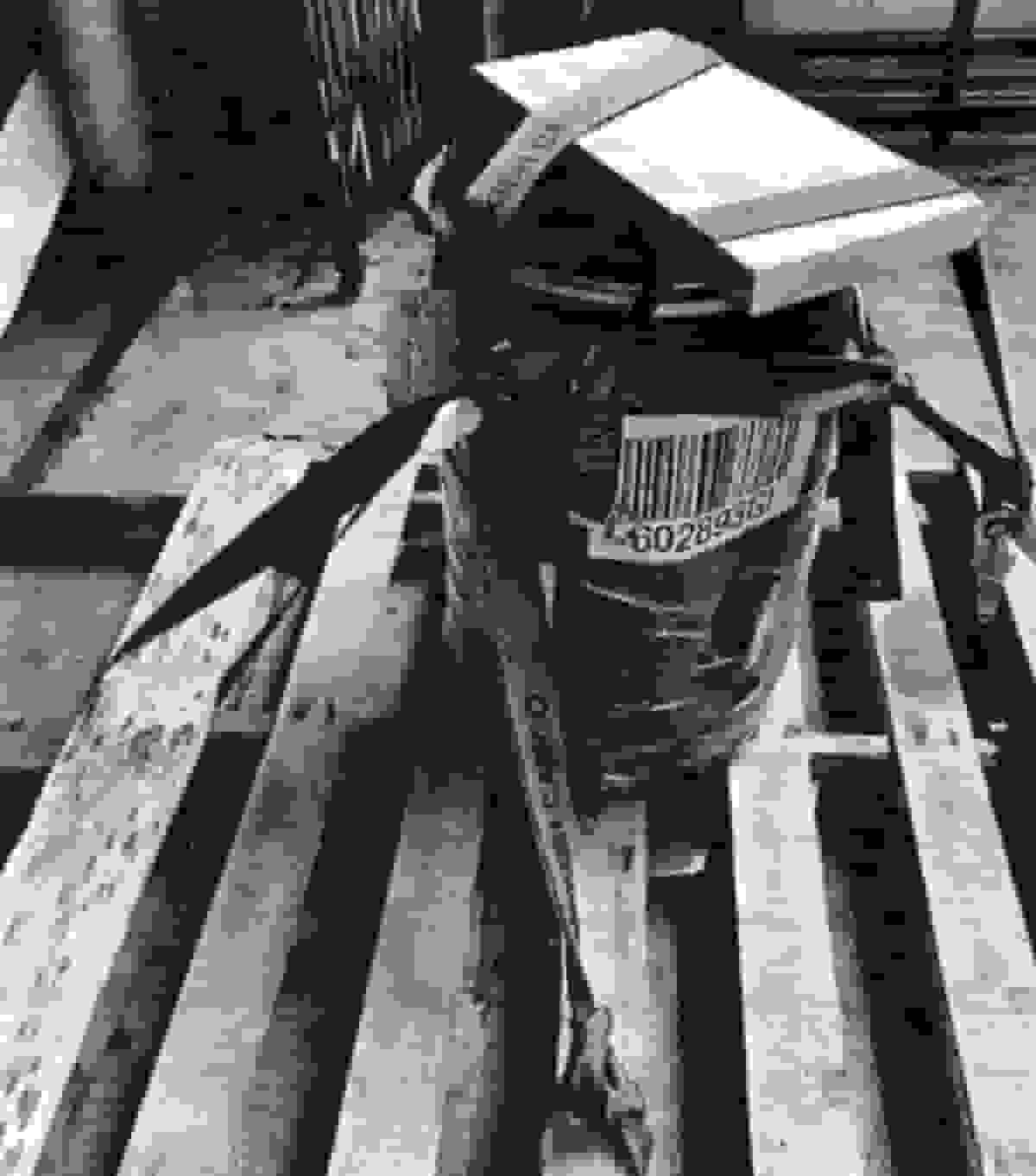 جنگ ترامپ با فنتانیل به هند کشیده شد: بازی 'تعقیب و گریز'