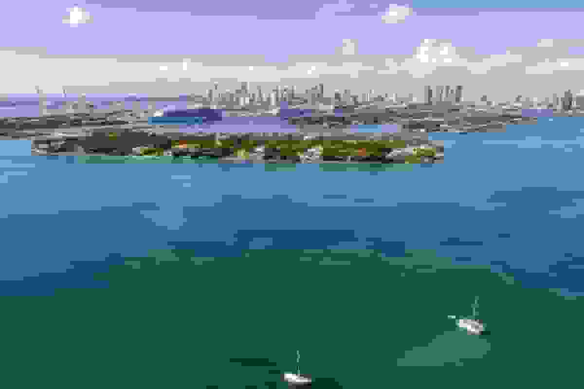 کِن گریفین مجوز ساخت اسکله خصوصی برای کشتی‌های تفریحی در میامی بیچ را دریافت کرد