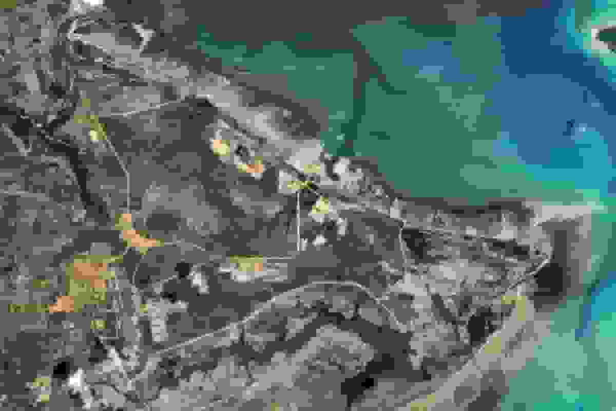 انصراف بریتانیا از پرداخت یک میلیارد دلار برای پروژه گاز طبیعی موزامبیک توتال