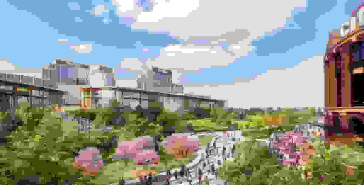 تصویب نهایی کازینوهای نیویورک برای استیو کوهن، بلی و جنتیگ