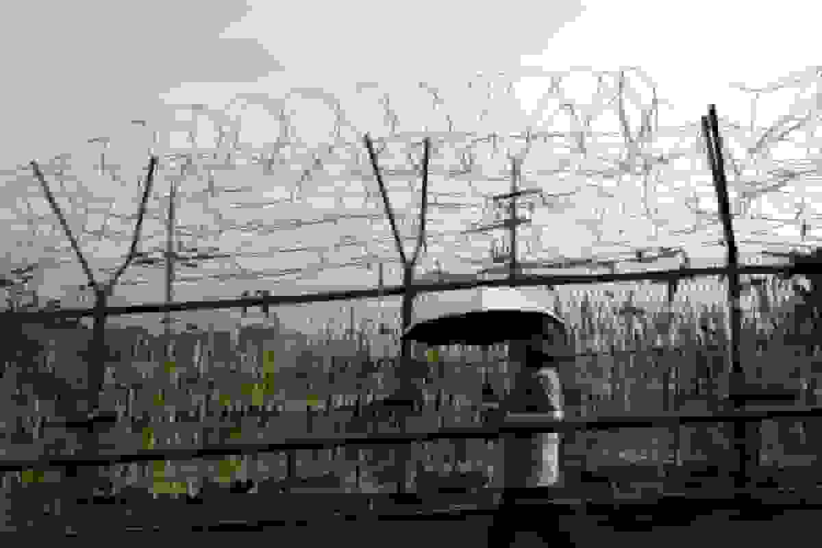 کره جنوبی پیشنهاد گفت‌وگوهای نظامی با کره شمالی برای کاهش تنش‌های مرزی