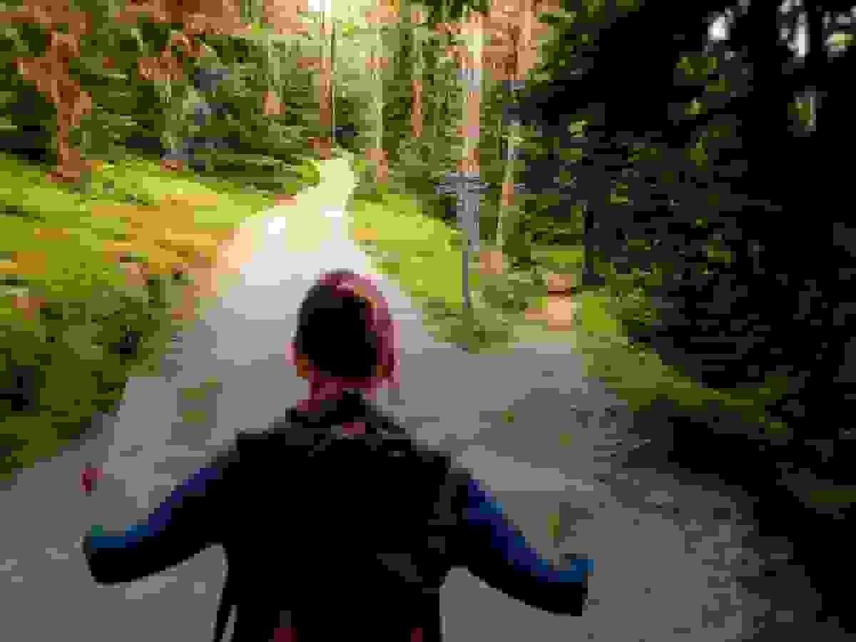 اختلاف نظر سرمایه‌گذاران در مورد چشمانداز بازار سهام پس از فروش جهانی