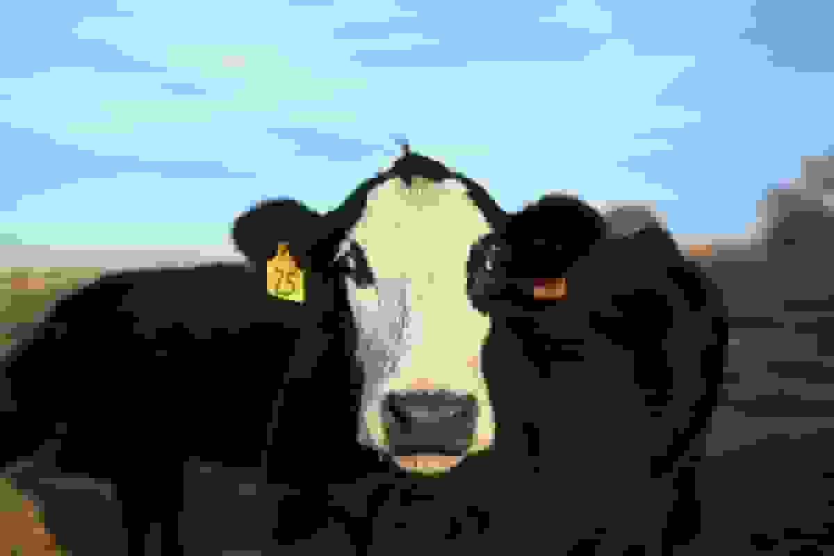 تکنولوژی می‌تواند به ما کمک کند زندگی اخلاقی‌تری داشته باشیم