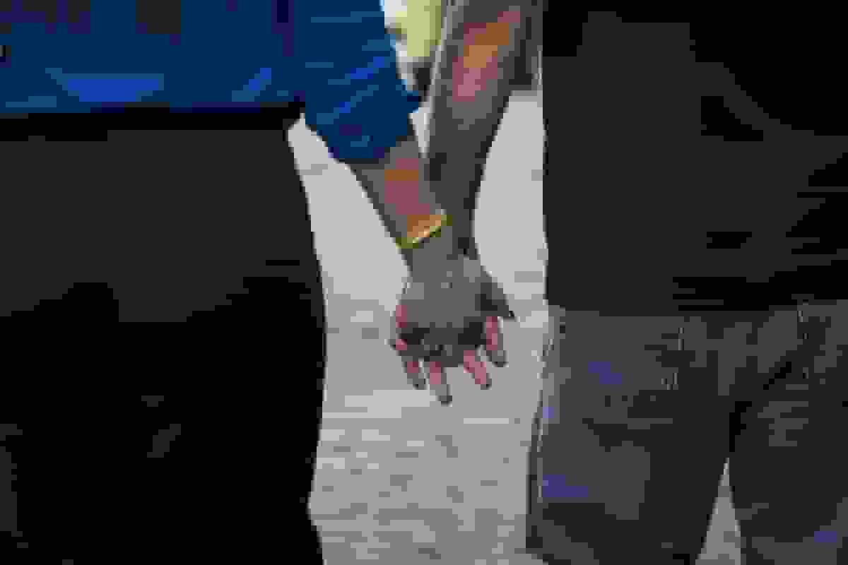 تستوسترون: راه حل جادویی برای میانسالی زنان نیست