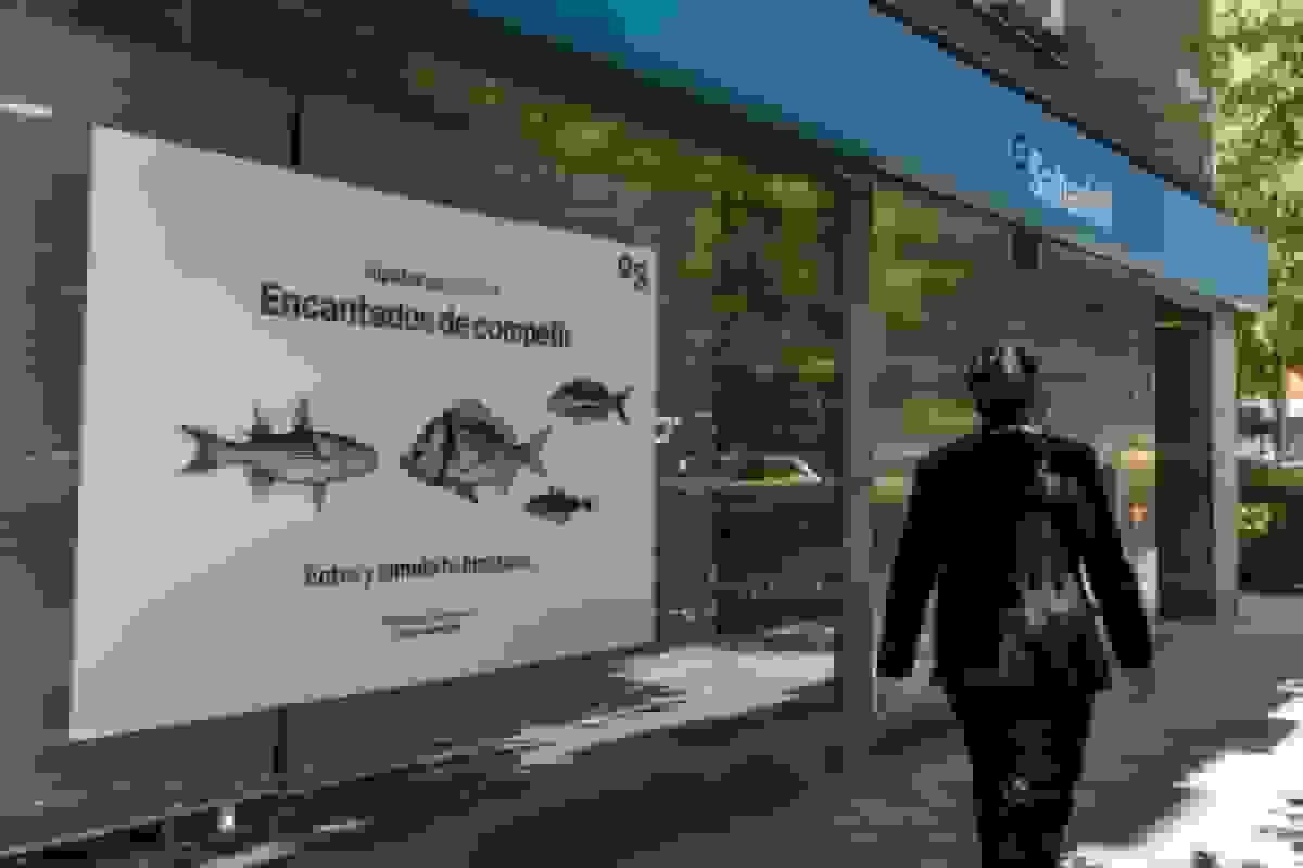 سرمایه گذار دیوید مارتینز سابادل را برای دفع بی‌بی‌وی‌ای تبریک گفت