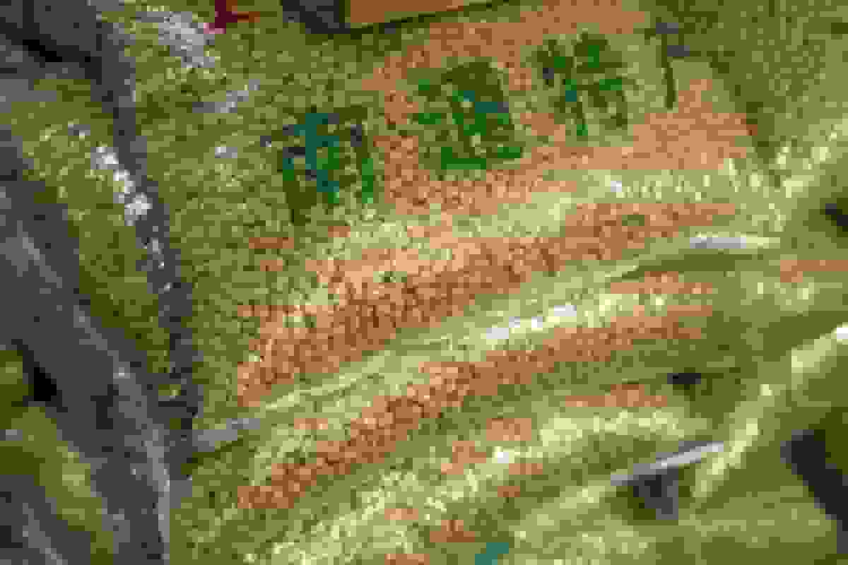 تعرفه‌های تجاری به مردم آسیب می‌رسانند