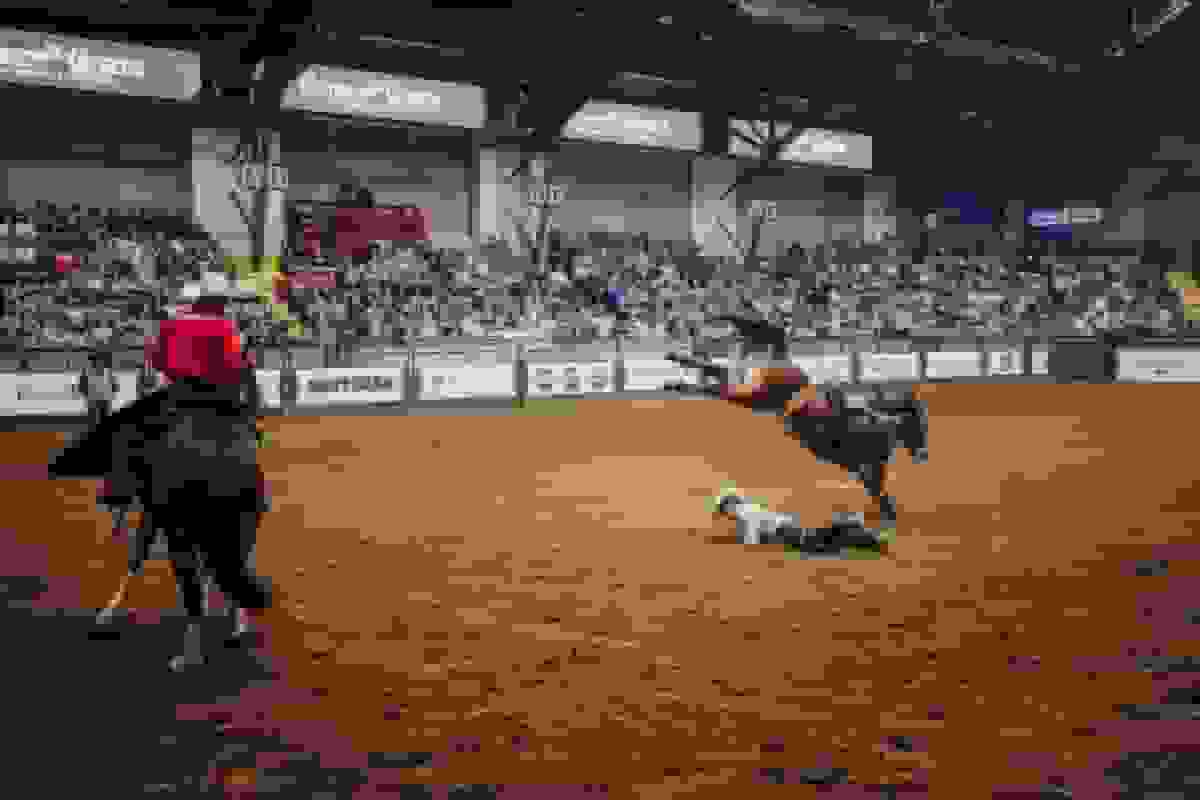 برای درک آمریکا در سال ۲۰۲۶، به تگزاس سفر کنید