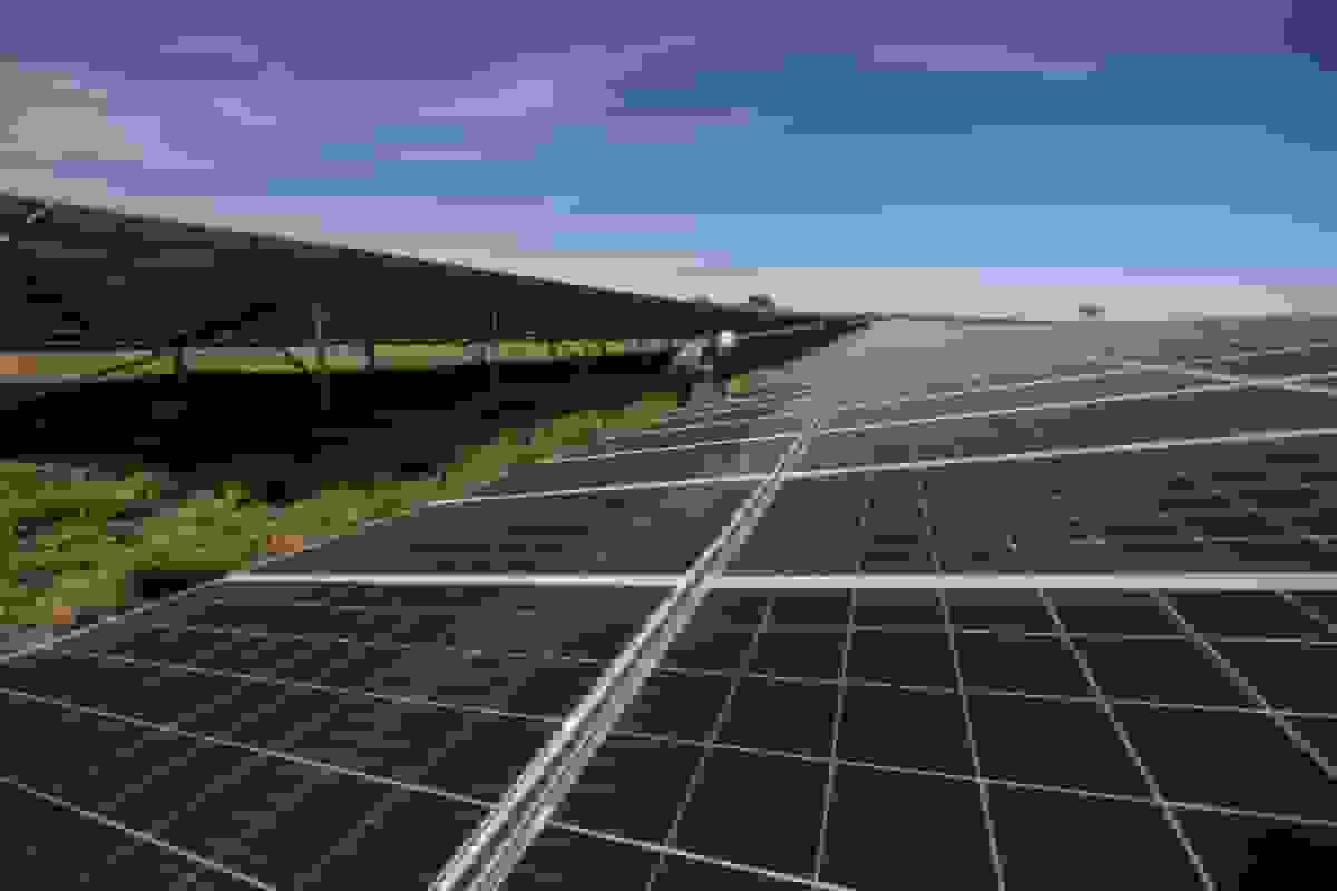 شرکت انرژی تجدیدپذیر آمارا، هولیحان لوکی را برای مذاکرات بدهی انتخاب کرد