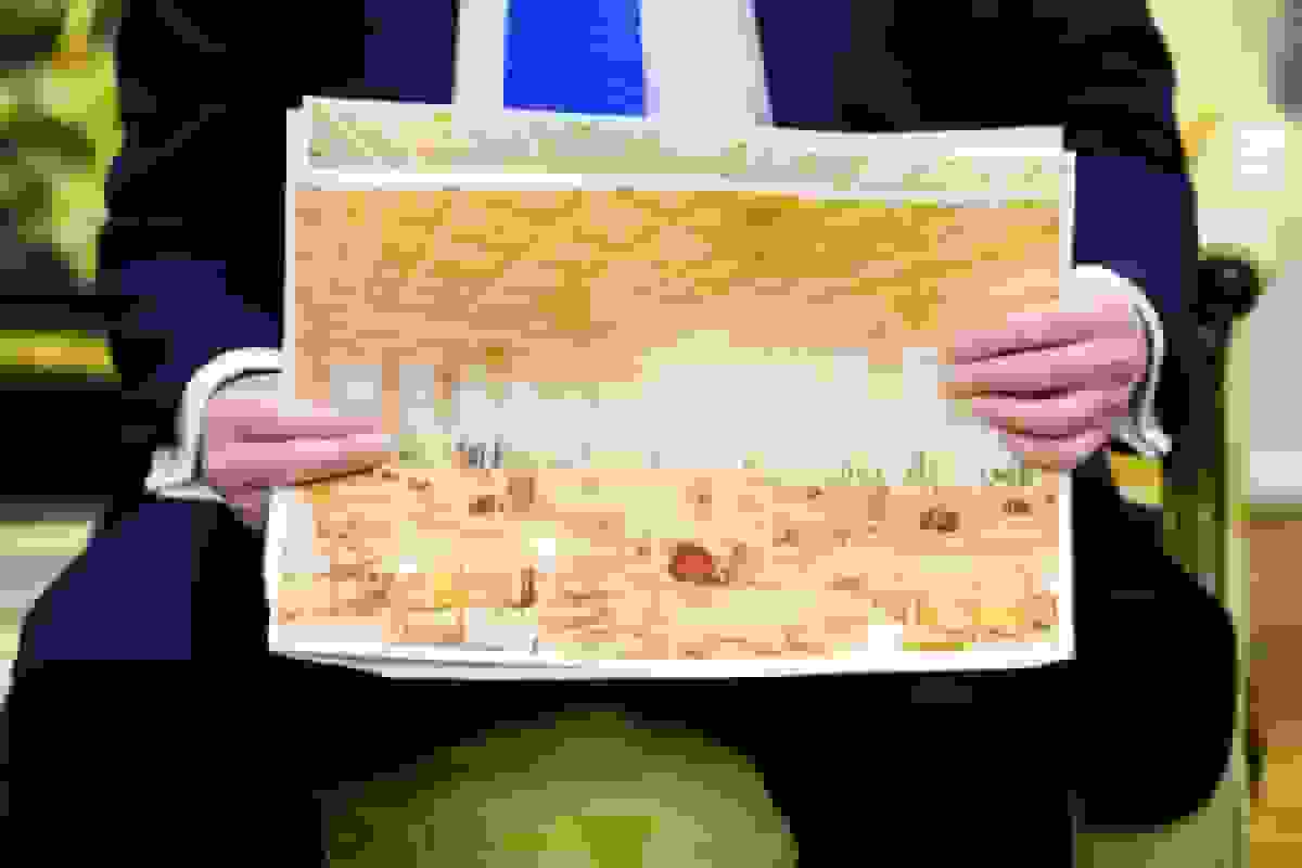 برنامه ترامپ برای ساخت تالار ۹۰ هزار فوتمربعی در کاخ سفید