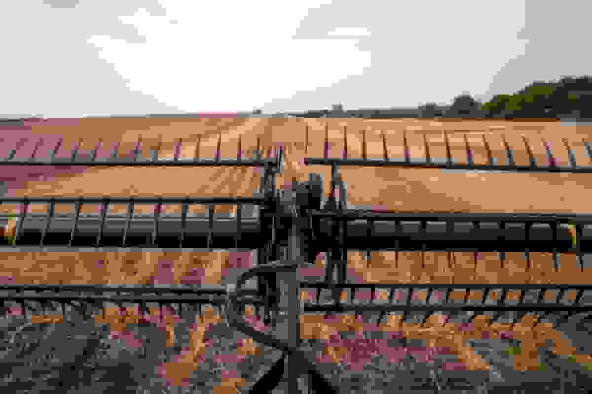 ترامپ 700 میلیون دلار برای بهبود خاک و آب در مزارع اختصاص می‌دهد