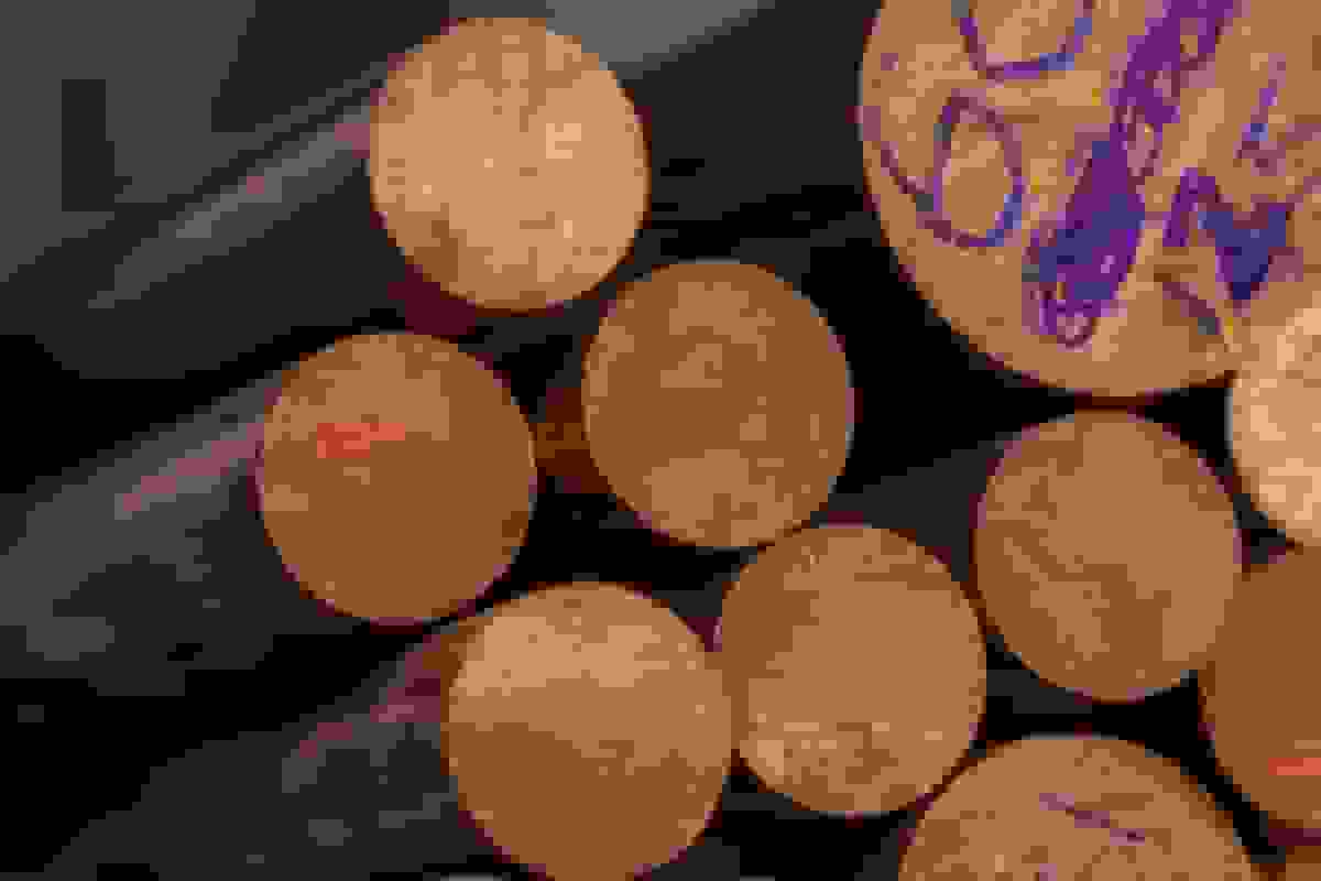 افت قیمت مس از رکورد بالا به دلیل کاهش تقاضای زمستانی چین