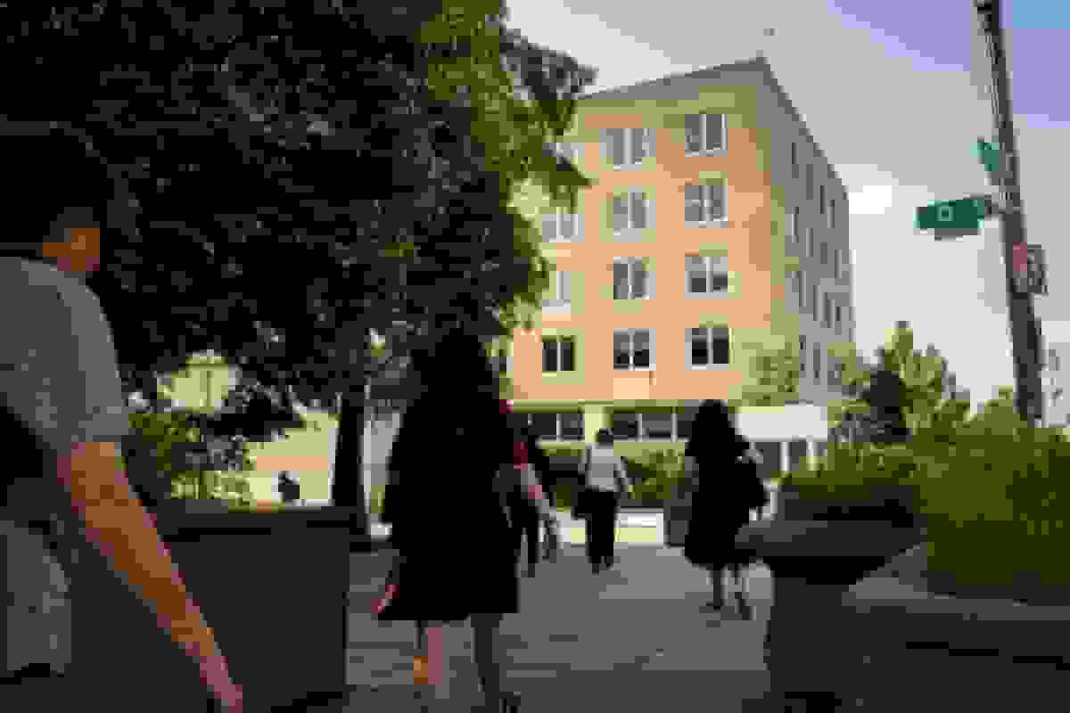 ادامه اخراج کارکنان دولت آمریکا علیرغم دستور قاضی