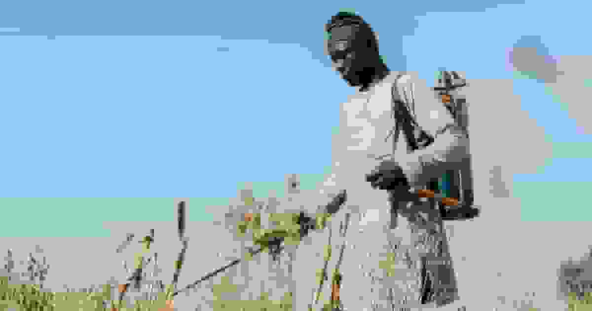 آفت‌کش‌های ممنوعه اروپا نیجریه را مسموم می‌کنند