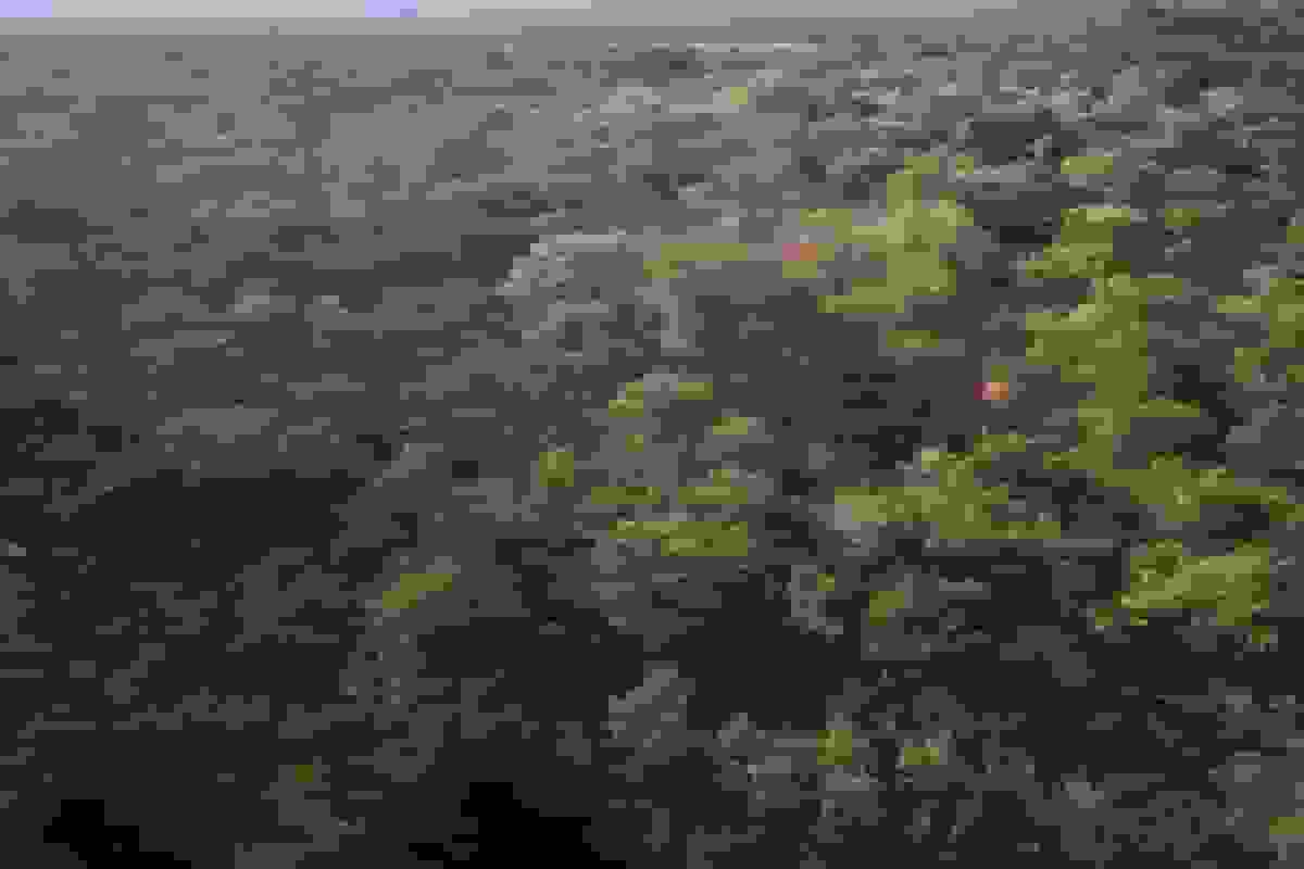 اکثریت اعتبارات کربن از پروژه‌های مخدوش غیرمعتبر شناخته شد