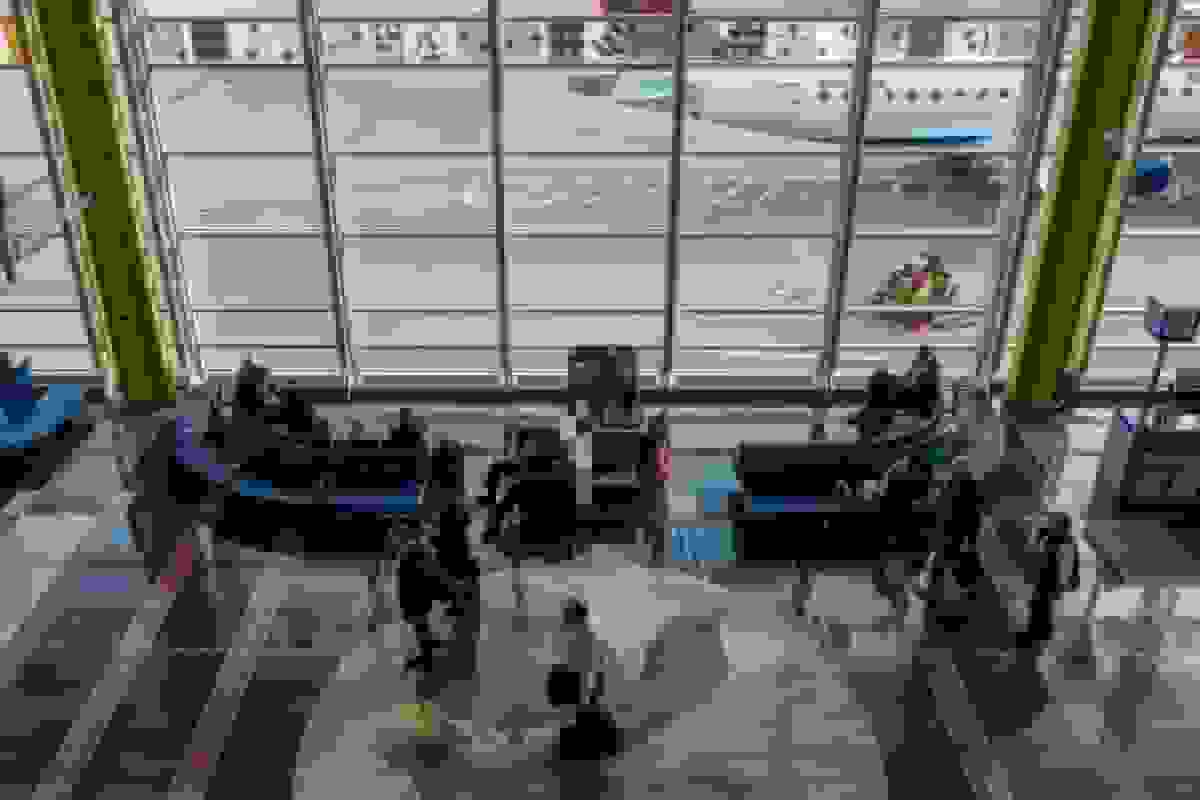 پروازهای آمریکا در مسیر کمترین لغو از زمان محدودیت‌های سفر هوایی