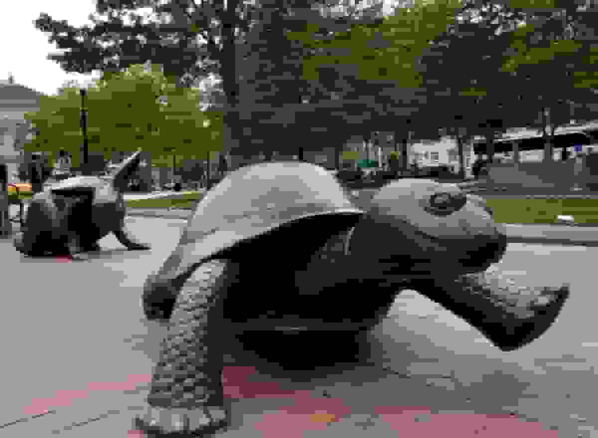 صندوق‌های اعتباری معاملات سریع را برای بازدهی امن‌تر کنار می‌گذارند