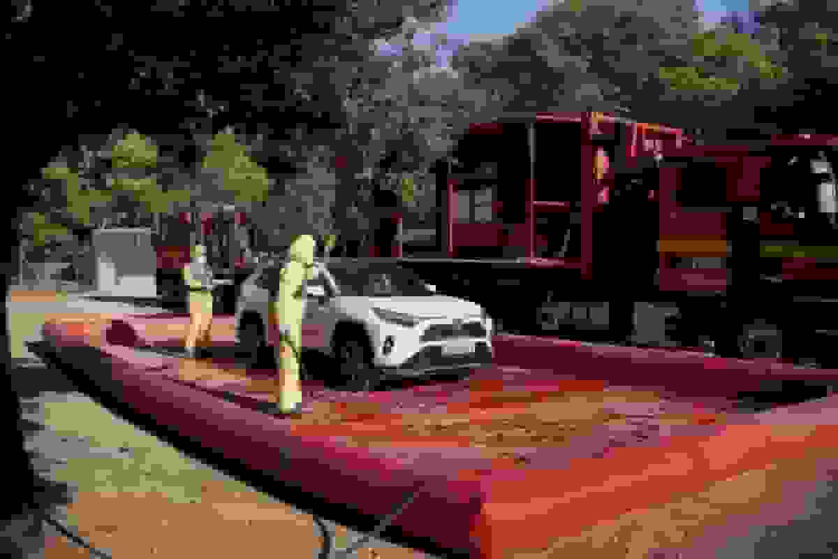 اسپانیا از پهپاد‌ها و سربازان برای ردیابی شیوع تب خوکی در گرازهای وحشی استفاده می‌کند