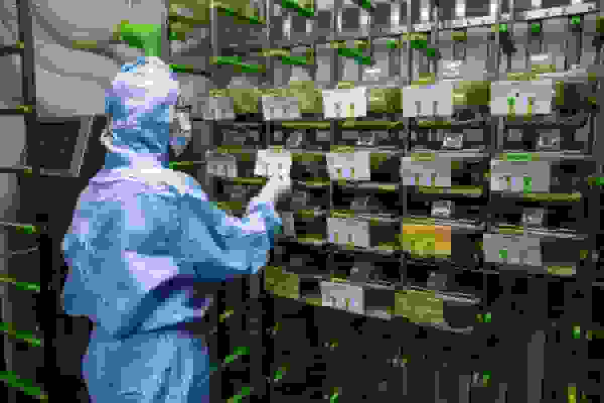 چین آزمایش‌های ژنتیکی روی حیوانات را برای پیشرفت در رقابت بیوتکنولوژی افزایش می‌دهد