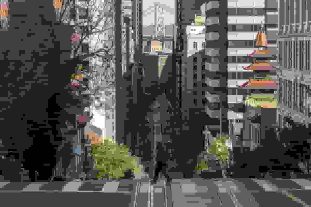 شهردار سان فرانسیسکو اعلام کرد ترامپ عملیات فدرال در شهر را لغو کرد