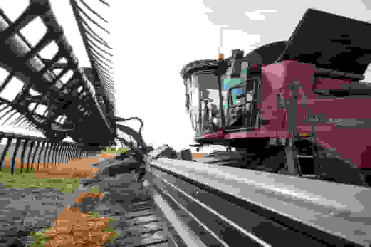 کشاورزان آمریکایی: کمک ۱۲ میلیارد دلاری ترامپ رکود صنعت را پایان نمی‌دهد