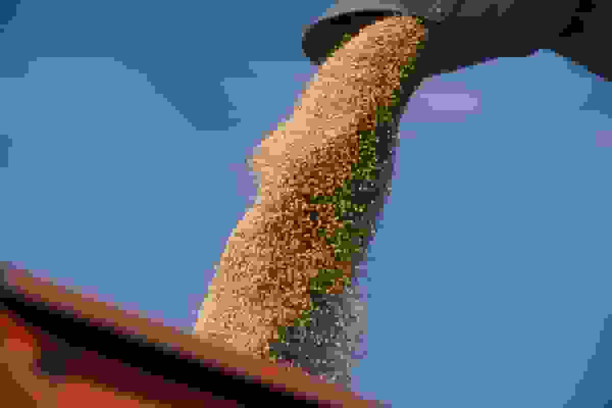 صعود سویا در بازار با امید به توافق تجاری آمریکا و چین